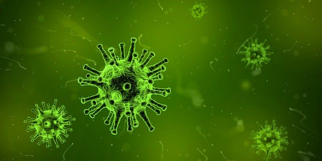 Aditivos antibacterianos: Tipos y beneficios